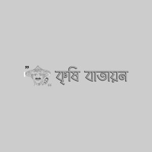 বারি কালোজিরা-১