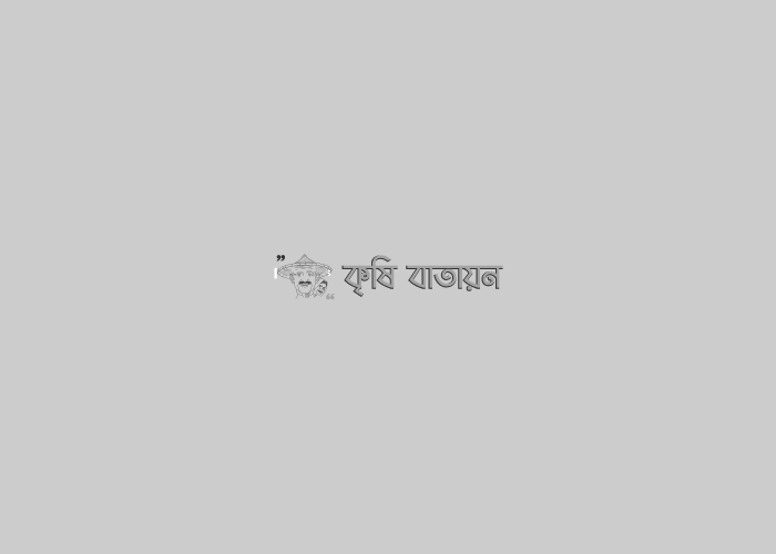 বীজ সংরক্ষণ