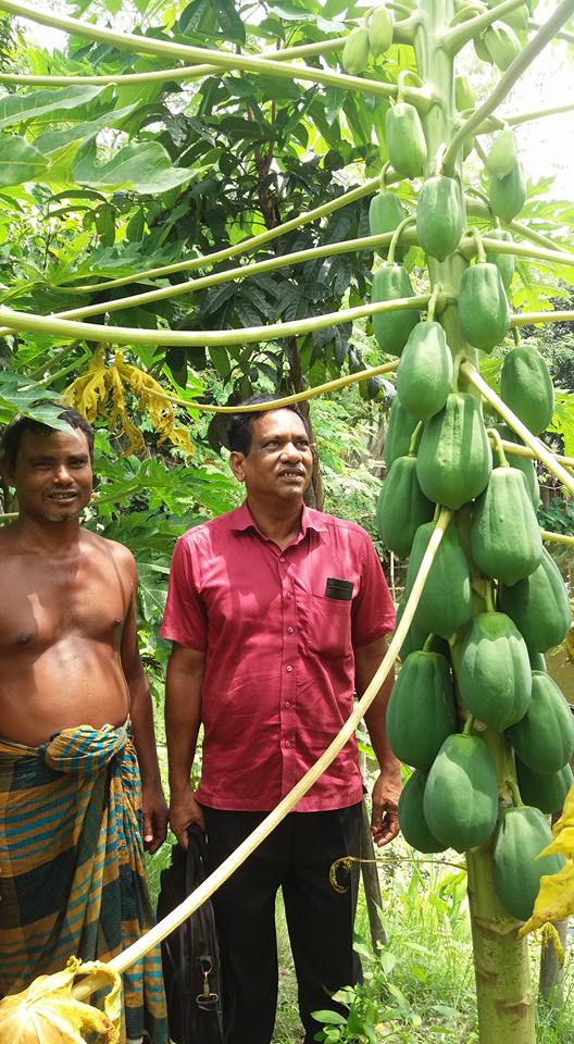 মন্ডলপাড়া কৃষক সংগঠন