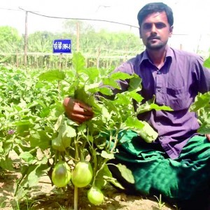 কৃষিতে-নতুন-জাত-সম্ভবনা-ও-খাদ্য-নিরাপত্তা